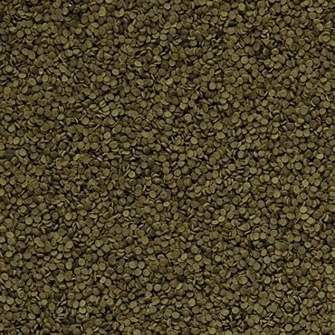 Tropical Spirulina Granulat 100ml